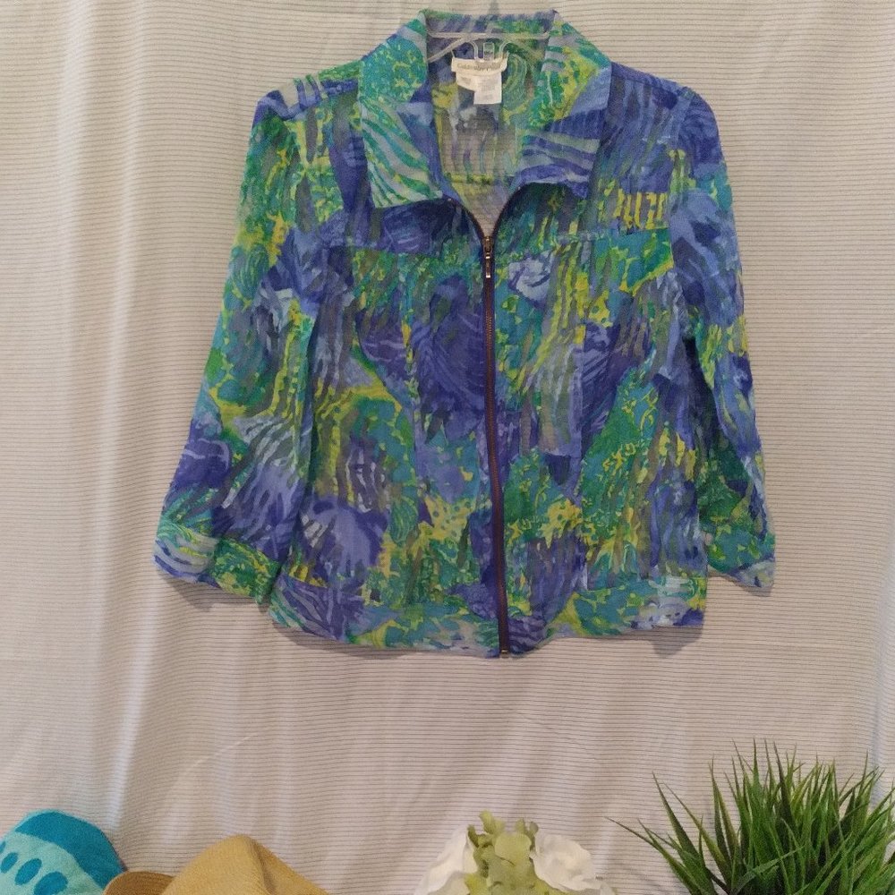 Coldwater Creek, Size 10, Blue and Green